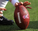 0129-nfl-football-10-17-10
