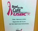 031-bowl-for-the-cure