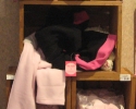 099-chips-sweaters-lunch-bags