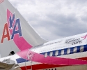 09 aa-pink-plane-for-komen