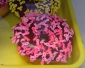 03 doughnuts