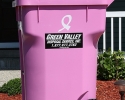 027 pink-cart